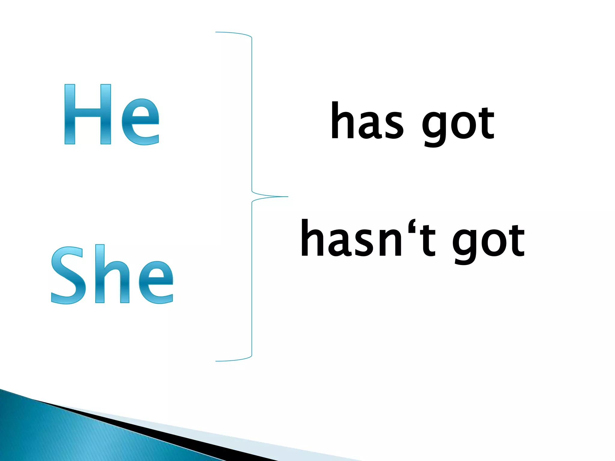 has got
hasn‘t got