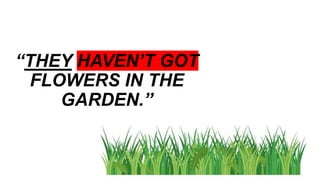 Have got & Has got - grammar