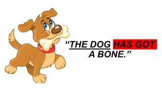 Have got & Has got - grammar