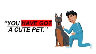 Have got & Has got - grammar