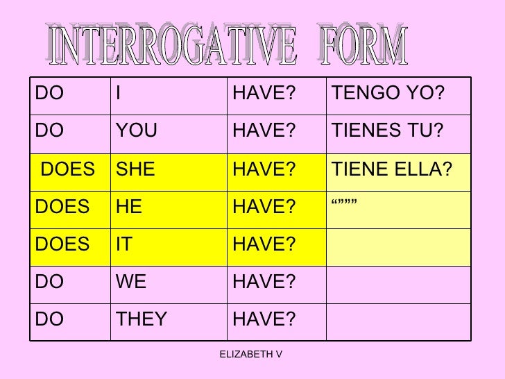 preguntas con you have have has preguntas con you have have has