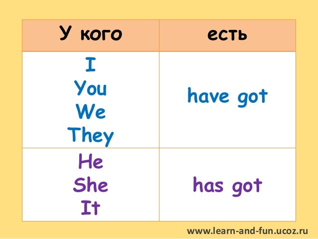 Have Got Has Got