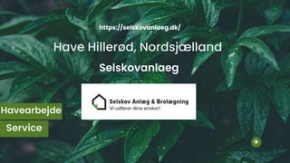 Have Hillerød, Nordsjælland
Selskovanlaeg
Havearbejde
Service
https://selskovanlaeg.dk/
 