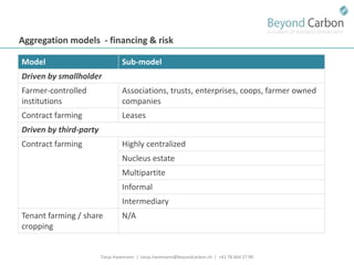 Havemann t financing options for smallholders and mitigation july 2011