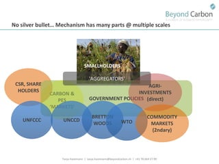 Havemann t financing options for smallholders and mitigation july 2011