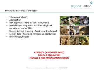 Havemann t financing options for smallholders and mitigation july 2011