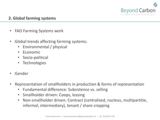 Havemann t financing options for smallholders and mitigation july 2011