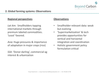 Havemann t financing options for smallholders and mitigation july 2011