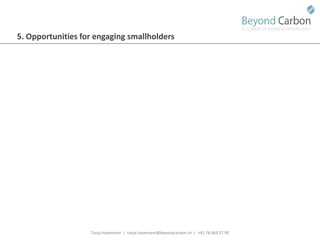 Havemann t financing options for smallholders and mitigation july 2011
