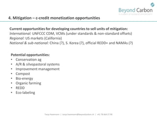 Havemann t financing options for smallholders and mitigation july 2011