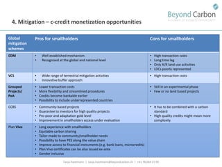 Havemann t financing options for smallholders and mitigation july 2011