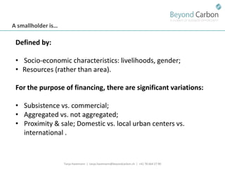 Havemann t financing options for smallholders and mitigation july 2011