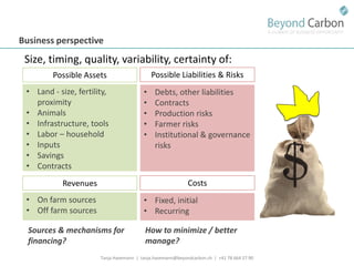 Havemann t financing options for smallholders and mitigation july 2011