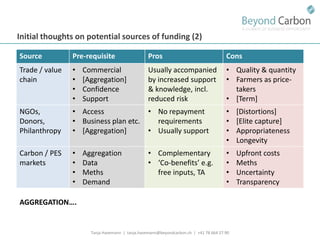 Havemann t financing options for smallholders and mitigation july 2011