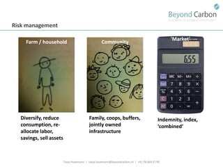 Havemann t financing options for smallholders and mitigation july 2011
