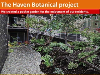 The Haven Botanical project
We created a pocket garden for the enjoyment of our residents.
 