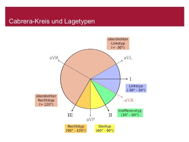 Ekg Grundlagen Standards In Der Befundung Www Fokus Ekg De
