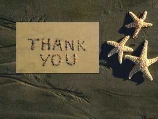 Get the Finest Deep Sea Fishing Trips in Beaufort SC