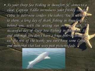 • As your Deep Sea Fishing in Beaufort SC comes to a 
close, Captain Eddie introduces your freshly caught 
Cobia to their new condos- the icebox. You’ll set back 
to shore, a long day of shark fishing in Beaufort SC 
behind you, with the setting sun on your back. A 
successful day of Deep Sea Fishing in Beaufort, SC 
and although you don’t have a huge 800+lb Shark to 
eat the rest of the week- you sure have some Cobia-and 
memories that last way past pictures fade. 
 