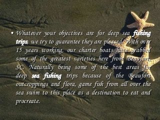 • Whatever your objectives are for deep sea fishing 
trips, we try to guarantee they are pleased. With over 
15 years working, our charter boats have grabbed 
some of the greatest varieties here from Beaufort, 
SC. Naturally being some of the best areas for 
deep sea fishing trips because of the Beaufort 
outcroppings and flora, game fish from all over the 
sea swim to this place as a destination to eat and 
procreate. 
 