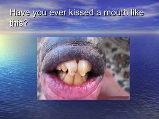 Have you ever kissed a mouth likeHave you ever kissed a mouth like
this?this?
 