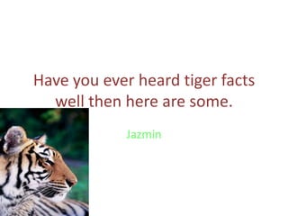 Have you ever heard tiger facts well then here are some. Jazmin 