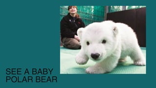SEE A BABY
POLAR BEAR