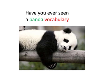 Have you ever seen
a panda vocabulary
 
