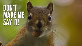 Have you lost your mind?