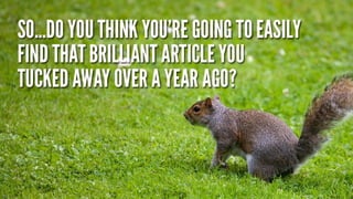 Have you lost your mind?