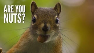 Have you lost your mind?