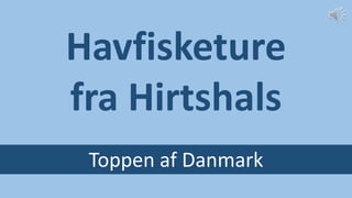 Havfisketure
fra Hirtshals
Toppen af Danmark
 