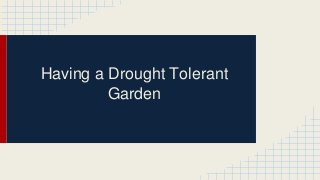 Having a Drought Tolerant
Garden
 