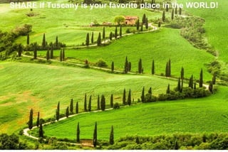 Rolling hills, winding roads, agriturismo. Tuscany. 