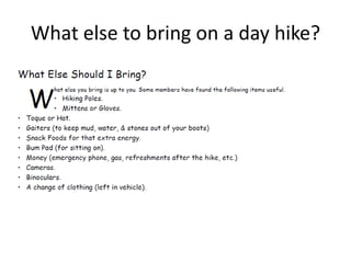 What else to bring on a day hike?

 