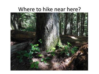 Where to hike near here?

 