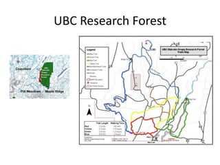 UBC Research Forest

 