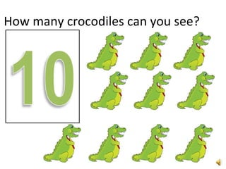 How many crocodiles can you see? 