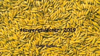Havreresultater 2019
Trond Buraas
 