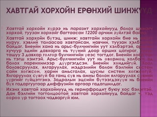 Хавтгай хорхой | PPT