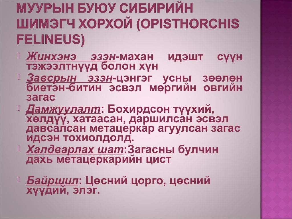 Хавтгай хорхой
