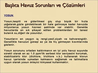 YOSUN
Yosun,tespiti ve giderilmesi güç olup büyük bir hızla
çoğalarak,gözle görülebilecek bir hale gelinceye kadar havuzda
milyonlarca yosun hücresi şeklinde var olabilir. Genelde
havuzlarda en sık şikayet edilen problemlerden bir tanesi
bulanık su,diğeri de yosundur.
Yosunların en yaygın üç rengi;yesil,siyah ve kahverengidir.
Genellikle havuzun güneşi az ya da hiç görmeyen kısımlarında
gözlenir.
Yosun sorununu ortadan kaldırmanın en iyi yolu havuz suyunda
sürekli olarak en az 1.0 ppm’lik serbest klor seviyesini korumak,
stabilizatörlü klor (dichlore, trichlore v.b.) kullanarak klorun
havuz içerisinde uçmadan kalmasını sağlamak ve talimatlara
uygun olarak yosun önleyici kimyasal kullanmaktır.
Başlıca Havuz Sorunları ve ÇözümleriBaşlıca Havuz Sorunları ve Çözümleri
 