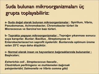 Suda bulunan mikroorganizmaları üçSuda bulunan mikroorganizmaları üç
grupta toplayabiliriz:grupta toplayabiliriz:
a- Suda doğal olarak bulunan mikroorganizmalar : Spirillum, Vibrio,
Pseudomanas, Achromobacter, Chromobacter türleri ile
Micrococcus ve Sarcina'nın bazı türleri.
b- Toprakta yaşayan mikroorganizmalar : Toprağın yıkanması sonucu
suya karışırlar. Bunlar; Bacillus , Streptomyces ve
Enterobacteriacea'nın saprofit üyeleridir. Bunlarında optimum üreme
ısıları 25°C veya daha düşüktür.
c- Normal olarak insan ve hayvanların bağırsaklarında bulunanlar :
Başlıcaları;
Esherichia coli , Streptococcus faecalis ,
Clostridium perfiringens ve muhtemelen bağırsak
patojenleridir( Salmonella ve Vibrio comma gibi)
 