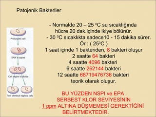 Patojenik Bakteriler
- Normalde 20 – 25 0
C su sıcaklığında
hücre 20 dak.içinde ikiye bölünür.
- 30 0
C sıcaklıkta sadece10 - 15 dakika sürer.
Ör : ( 250
C )
1 saat içinde 1 bakteriden, 8 bakteri oluşur
2 saatte 64 bakteri
4 saatte 4096 bakteri
6 saatte 262144 bakteri
12 saatte 68719476736 bakteri
teorik olarak oluşur.
BU YÜZDEN NSPI ve EPA
SERBEST KLOR SEVİYESİNİN
1 ppm ALTINA DÜŞMEMESİ GEREKTİĞİNİ
BELİRTMEKTEDİR.
 
