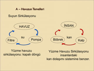 A – Havuzun TemelleriA – Havuzun Temelleri
Suyun Sirkülasyonu
HAVUZ
PompaFiltre
İNSAN
KalpBöbrek
su kan
Yüzme havuzu
sirkülasyonu: kapalı döngü
Yüzme Havuzu Sirkülasyonu
insanlardaki
kan dolaşımı sistemine benzer.
 