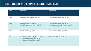 Comprehensive Medical Overview of Cellulitis: Causes, Diagnosis, and ...