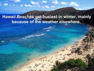 Hawaii Beaches get busiest in winter, mainly because of the weather elsewhere.  