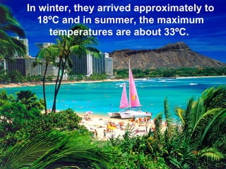 In winter, they arrived approximately to 18ºC and in summer, the maximum temperatures are about 33ºC.  