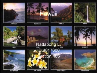 Hawaii Nattapong L. ID 4817600 Section 406 