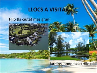 LLOCS A VISITAR
Hilo (la ciutat més gran)




                        Jardins japonesos (Hilo)
 
